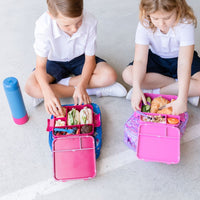 Montii Calypso Bento Plus Lunchbox NZ - Montii Lunch Boxes