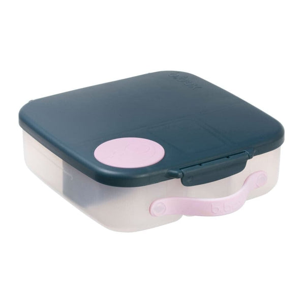 Large Leakproof Bento Style Lunch box for Kids Indigo Rose – Yum Yum ...