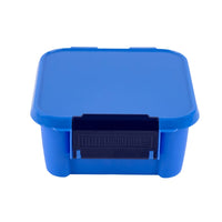 Little Lunch Box Co - Bento Two Blueberry Little Lunch Box Co lunchbox
