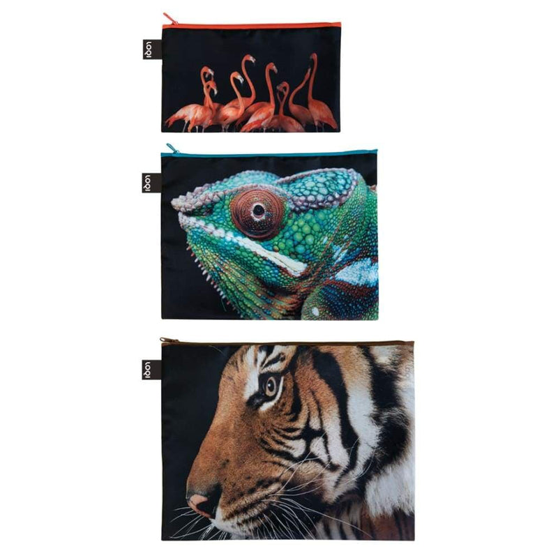 products/loqi-zip-pocket-set-of-3-national-geographic-collection-tiger-chameleon-flamingos-bfs-pouches-yum-kids-store-bengal-wildlife-965.jpg