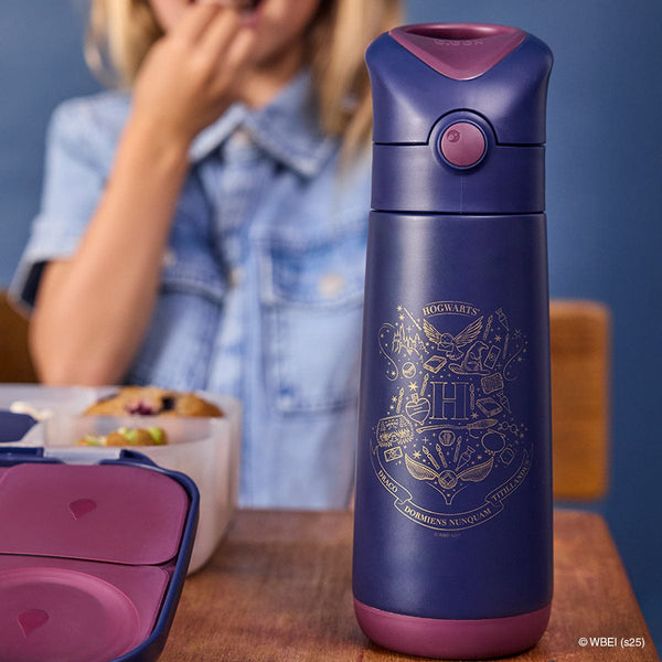 BBox Harry Potter 500ml Insulated Drink Bottle - BBox NZ