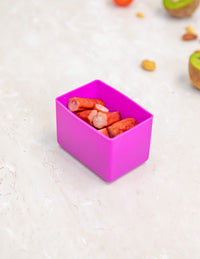 Feast Bento Cups to fit into Feast Lunchbox - Fuchsia