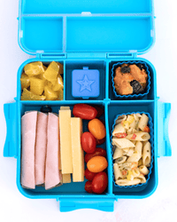 Mixed Bento Cup Pack - Coastal - Lunchboxes, baking & more