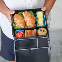 Mixed Bento Cup Pack - Coastal - Lunchboxes, baking & more