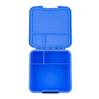 Blueberry Bento Lunchbox 3 Leakproof Compartments for Adults & Kids Little Lunch Box Co lunchbox