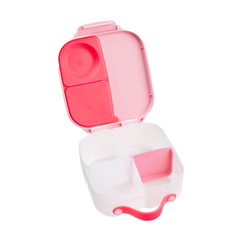files/mini-leakproof-lunchbox-or-snackbox-for-kids-flamingo-fizz-lunchbox-bbox-yum-store-954.jpg
