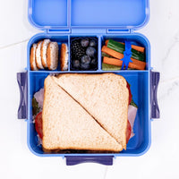 Little Lunchbox Co Bento 3 Plus Blueberry Bento Three +