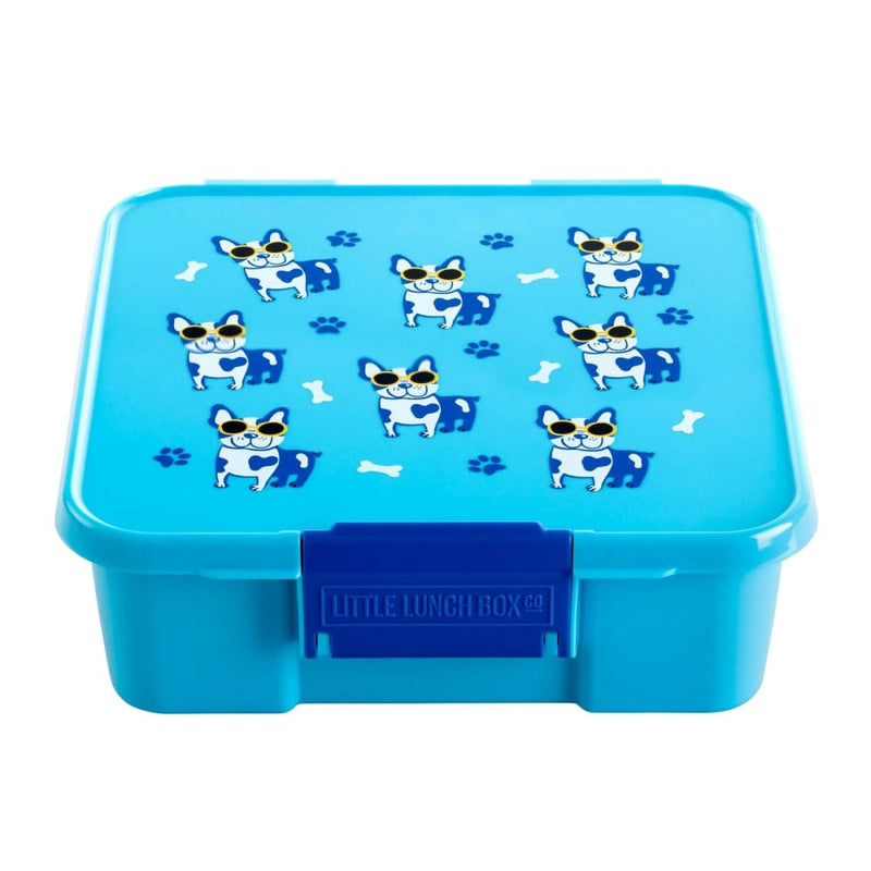 products/cool-pup-bento-leakproof-lunchbox-for-kids-adults-3-compartments-little-co-yum-store-instrument-aqua-audio-773.jpg