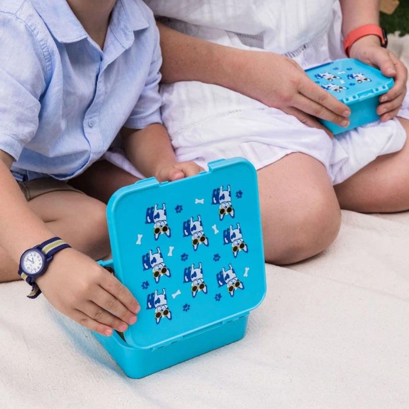 products/cool-pup-bento-leakproof-lunchbox-for-kids-adults-3-compartments-little-co-yum-store-watch-arm-blue-516.jpg