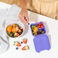 Little Lunch Box Co - Bento Two Grape Little Lunch Box Co lunchbox