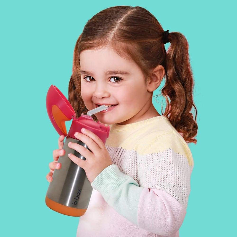 Bbox insulated drink deals bottle