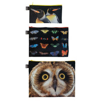 Loqi Zip Pocket (Set Of 3) National Geographic Collection - Owl Butterflies Penguins Loqi Pouches