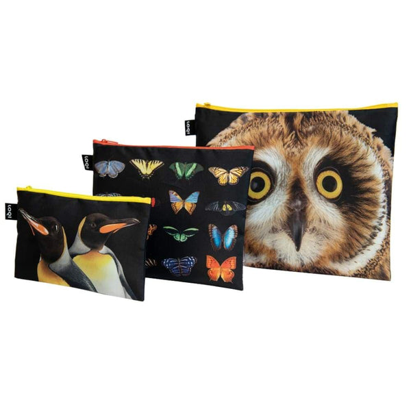 Loqi Zip Pocket (Set Of 3) National Geographic Collection - Owl Butterflies Penguins Loqi Pouches