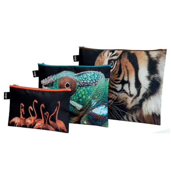Loqi Zip Pocket (Set Of 3) National Geographic Collection - Tiger Chameleon Flamingos Loqi Pouches