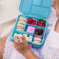 Little Lunchbox Co Bento 5