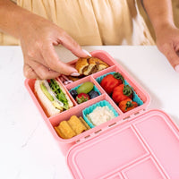 Little Lunchbox Co Bento 5 Lunchbox