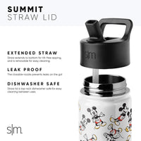 Summit Kids Insulated Stainless Steel Water Bottle with Straw Lid 14oz (400ml) Shark Bite Simple Modern Stainless Steel Water Bottle