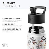 Summit Kids Insulated Stainless Steel Water Bottle with Straw Lid 14oz (400ml) Wheels Up Simple Modern Stainless Steel Water Bottle